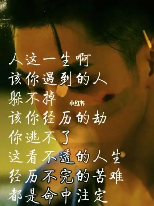看不透的人生经历不完的苦难都是命中注定扎心情感语录情感人生感悟