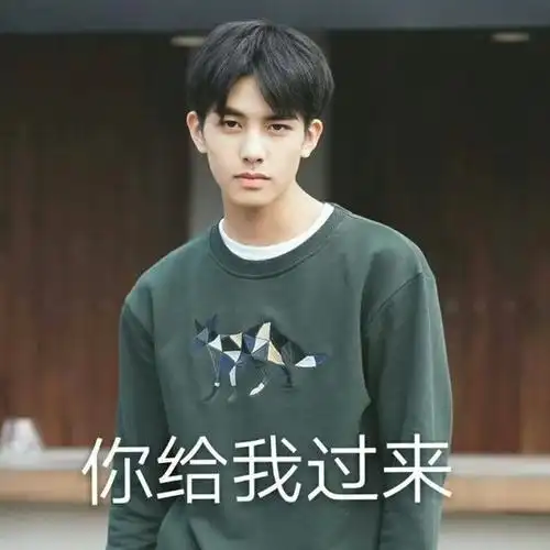 宋威龙你给我过来耍酷微笑gif动图_动态图_表情包下载_soogif