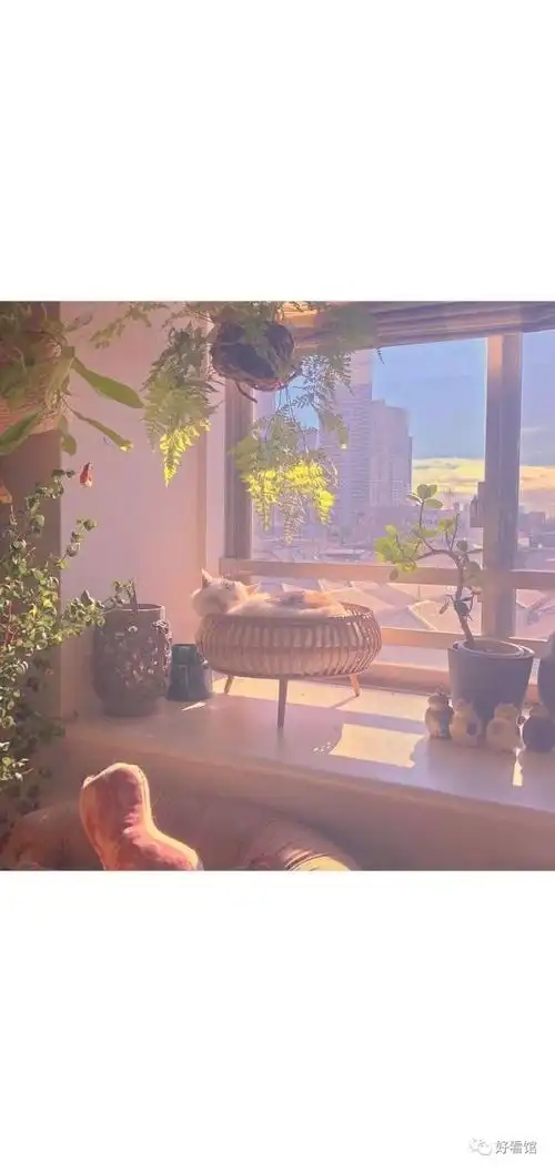 治愈系动漫好看壁纸治愈系动漫壁纸超好看超治愈系看这个就够了