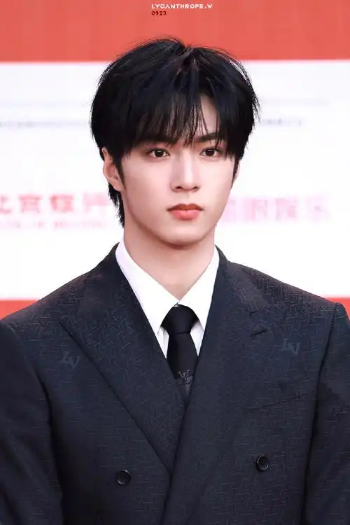 刘耀文 北京国际电影节##第十四届北京国际电影节##刘耀文红毯生图