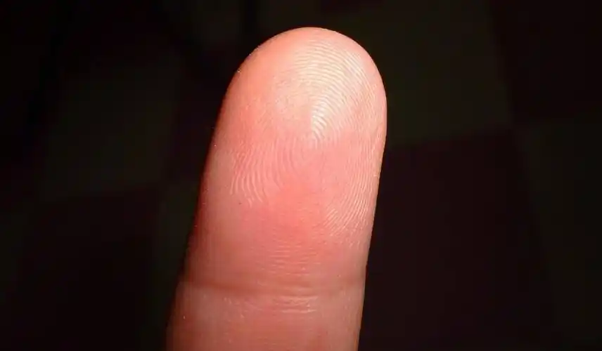 手指螺纹代表的意义