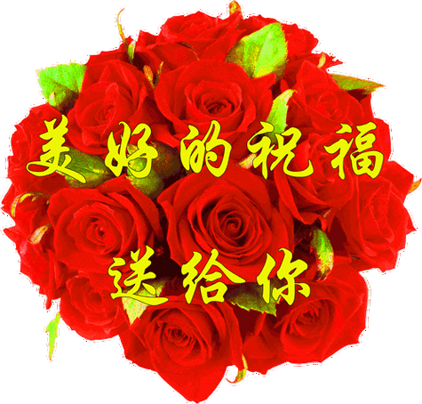 500_478gif 动态图 动图