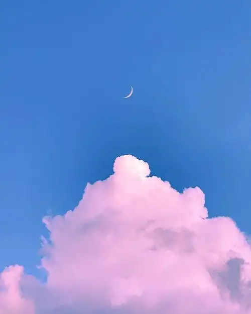 你们的手机壁纸微信头像聊天背景朋友圈相册封面都是什么有什么理由