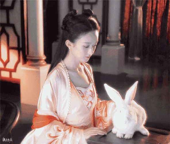 赵丽颖古装群像##赵丽颖1016生日快乐##陪赵丽颖兔飞猛进