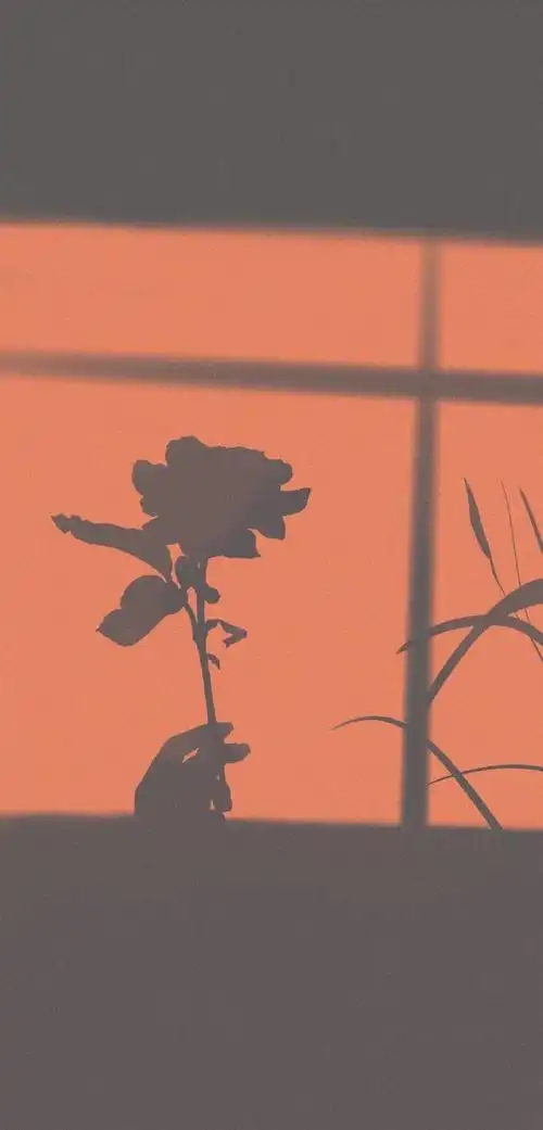 背景/小清新ins/油画插画/锁屏壁纸/动漫少女心/简约壁纸/文字壁纸