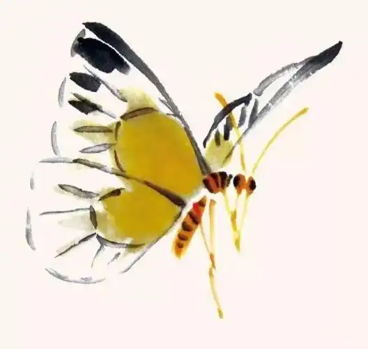 国画教程六种写意蝴蝶画法