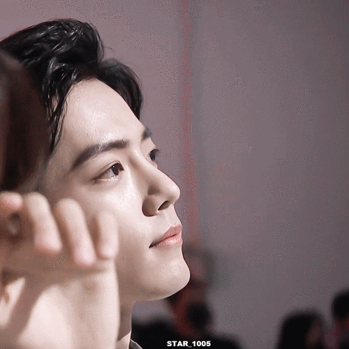 肖战治愈系怼脸笑动图合集