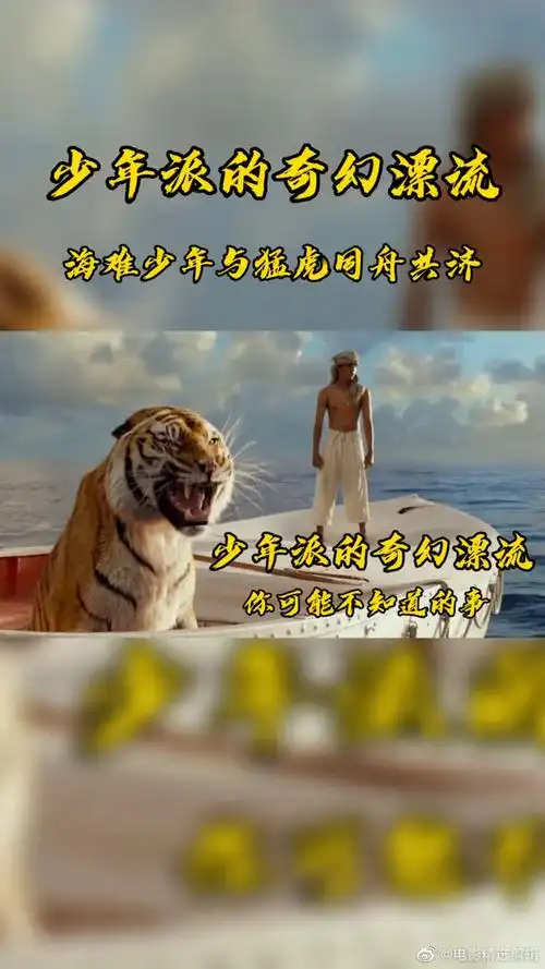 少年派的奇幻漂流李安首部3d电影2