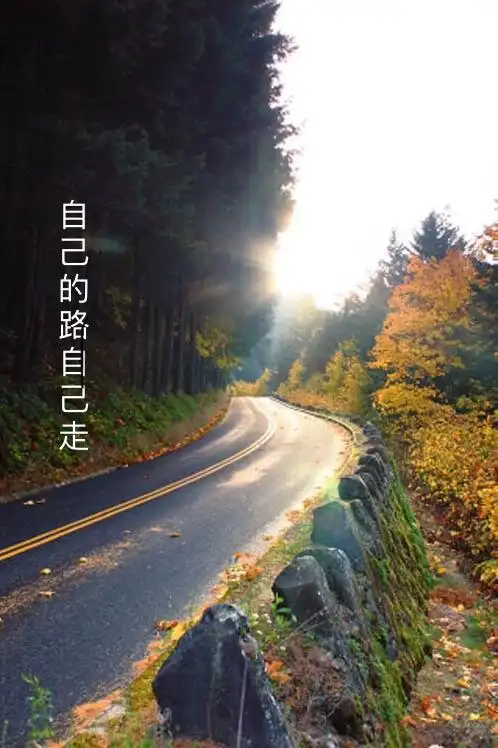 自己的路自己走!