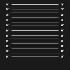 警察照片阵容孤立.监狱背景.矢量图照片