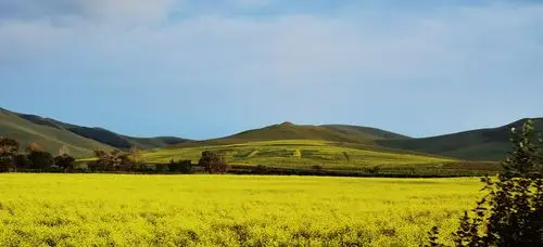 草原天路风景美,姐妹倩美大自然(三)