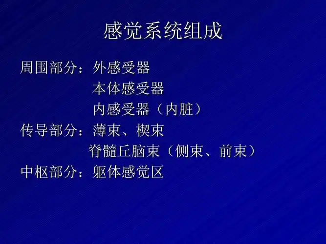 【精品】感觉系统课件图文课件最新版ppt