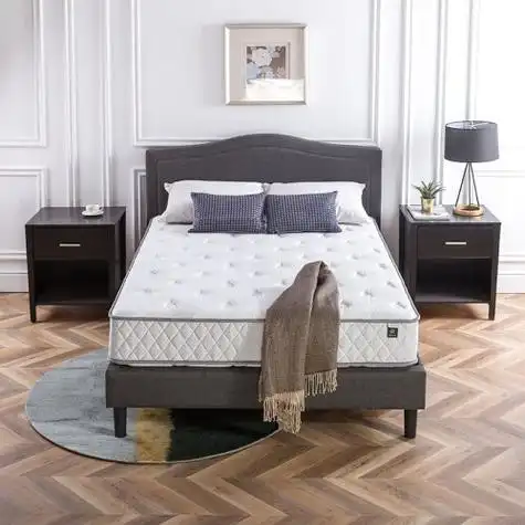 zinus际诺思护脊天然乳胶椰棕弹簧床垫席梦思卷包压缩青年宿舍nesting