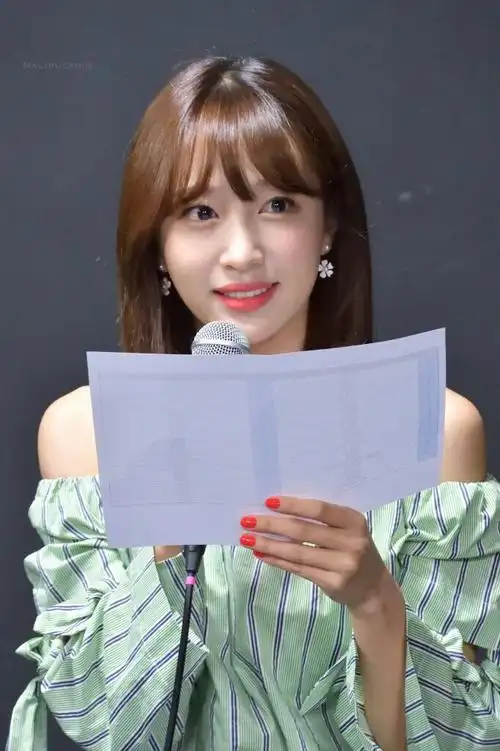 exid 安希妍 安喜延 hani