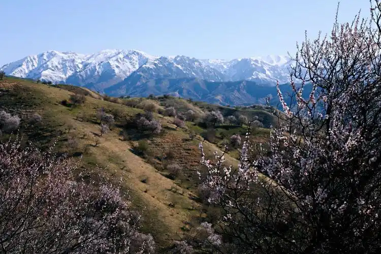 伊犁霍城县大西沟