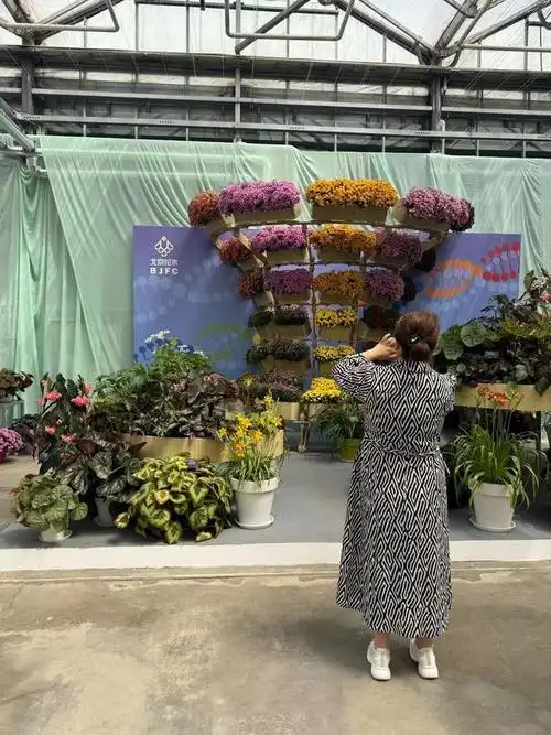 内附美图!北京春季花展开幕,这些新品种首发