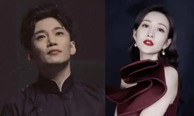 40岁的王鸥长得美演技不差为什么却一直备受争议