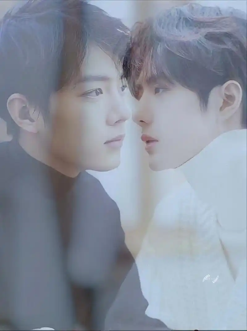 肖战王一博壁纸