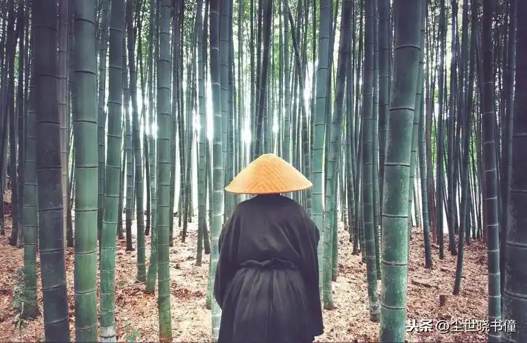 超凡脱俗的意思是什么(一字一句超凡脱俗) - 百思特网