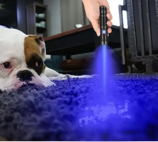 iwp智能365紫外线手电筒紫光灯验钞文玩鉴定猫藓荧光剂检测uv胶固化