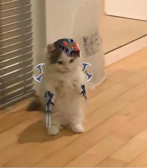 英雄联盟猫猫表情包集合(第一期)