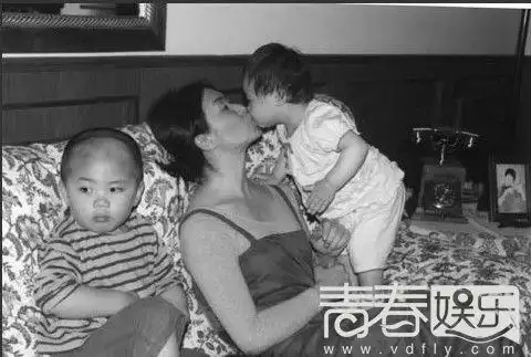 金星儿子被打,这么教育孩子确实惊人