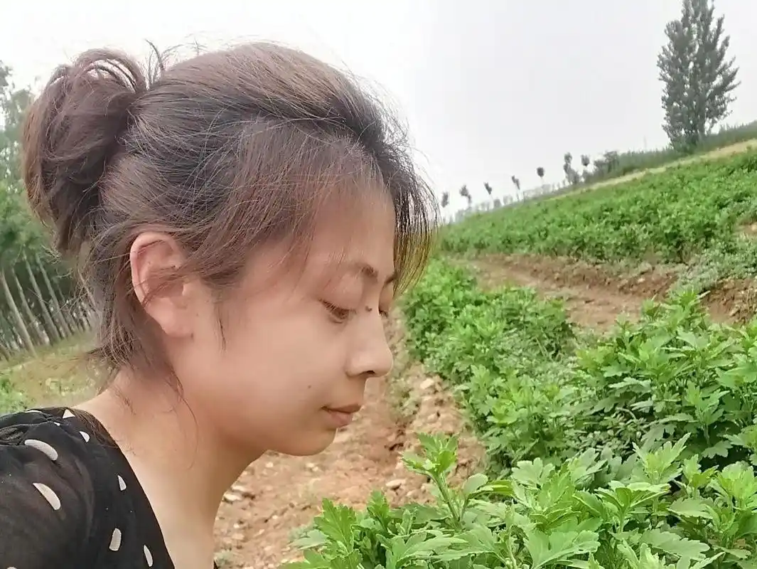 带动农民增收累计达2214万元,实现种植户由亩均600元增收至4100元