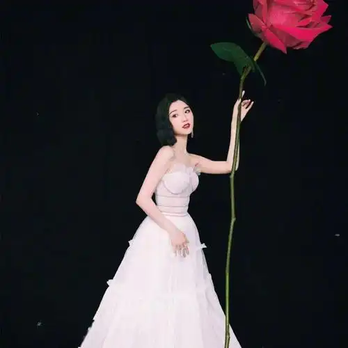 【微信头像】毛晓彤