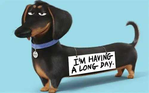 卡通动物《爱宠大机密》啾啾精选高清电脑壁纸下载