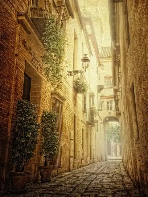 (2)#路#唯美 小清新 治愈 大气磅礴 摄影 人物 植物 怀旧 封面 风景