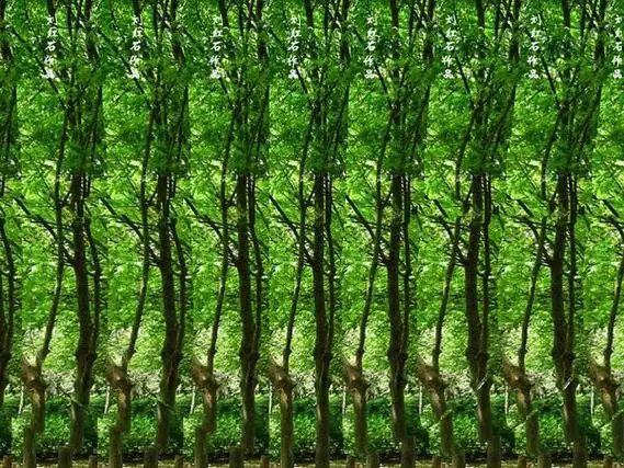 百张三维立体图---让你一次看个够(下)