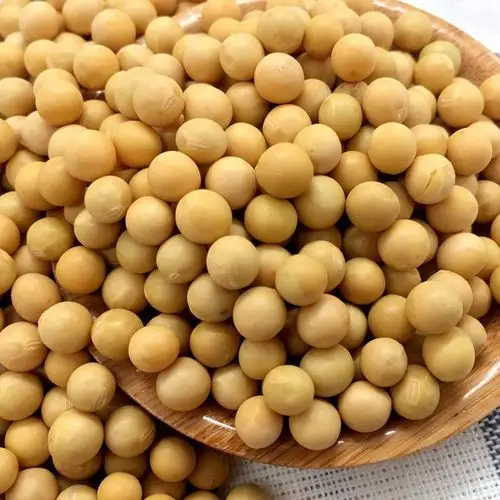 潞谷香 农家自种笨黄豆 榨豆浆非转基因 黄小豆五谷杂粮