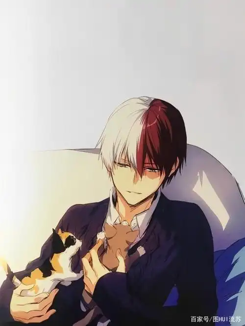 《我的英雄学院》人物壁纸 轰焦冻