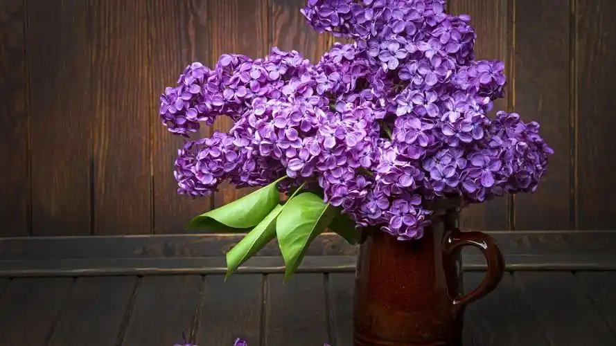 壁纸 紫色的丁香花,花瓶