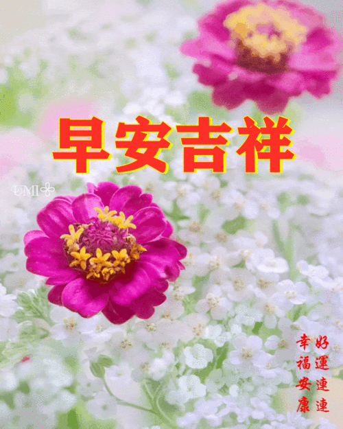 2021124周日愉快《早安心语》