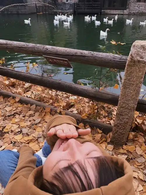 我发现秋天的叶子倒着拍