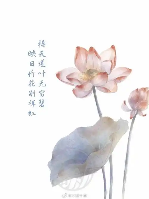 古风文字壁纸,和花卉有关的诗词.古风水彩/@木槿十亩#国学新青年