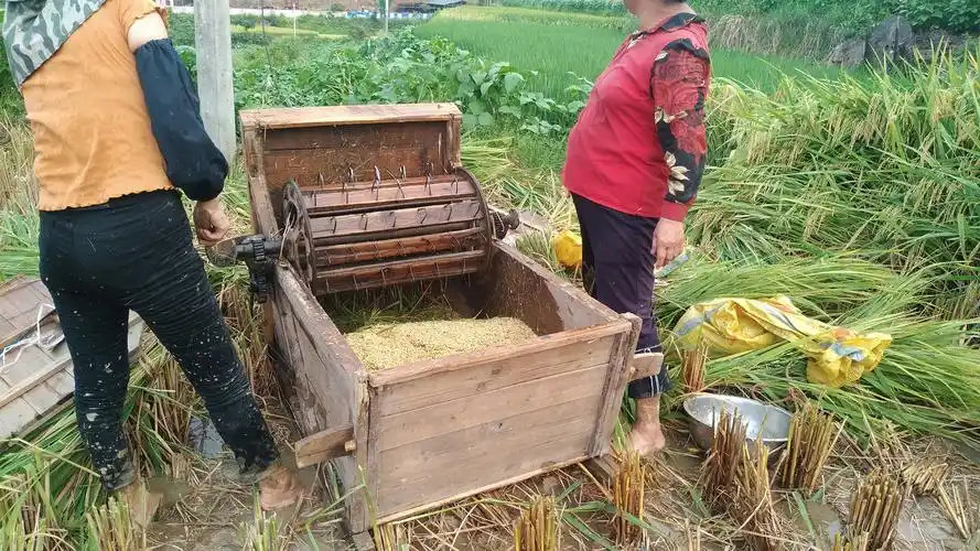 稻谷收割机 - 热门商品专区