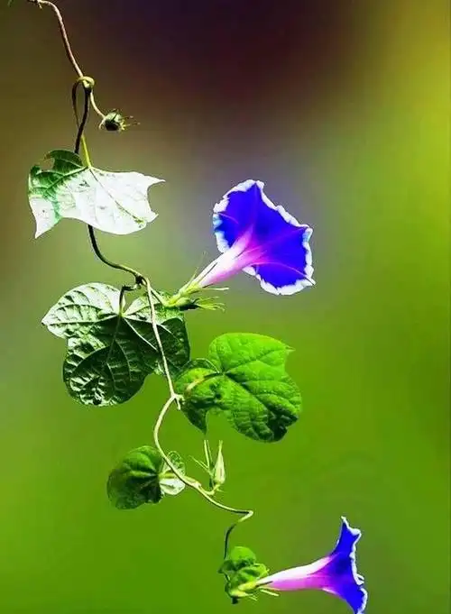 寓意深刻的句子,人不要等明天,因为没有人知道自己有没有明天