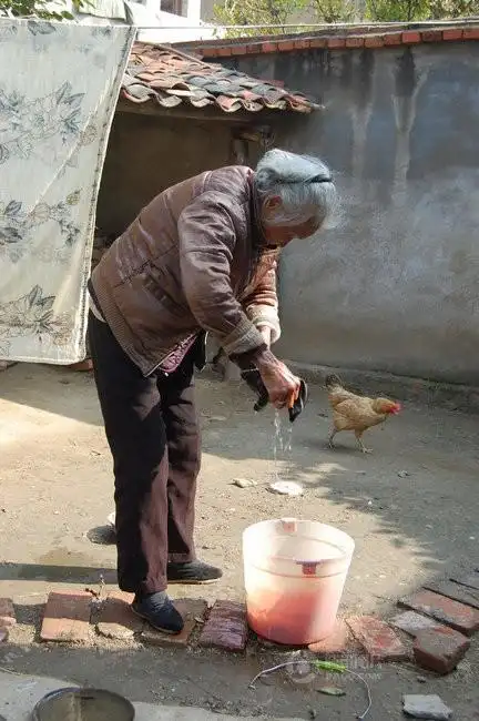 湖北云梦县倒店乡三杨村102岁的陈秀英老人,依靠"三寸金莲"的小脚行走