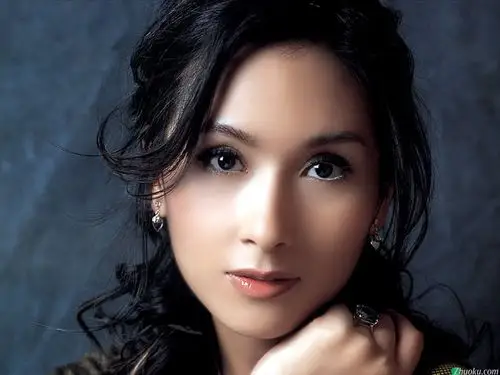 亚洲小姐杨恭如精美壁纸