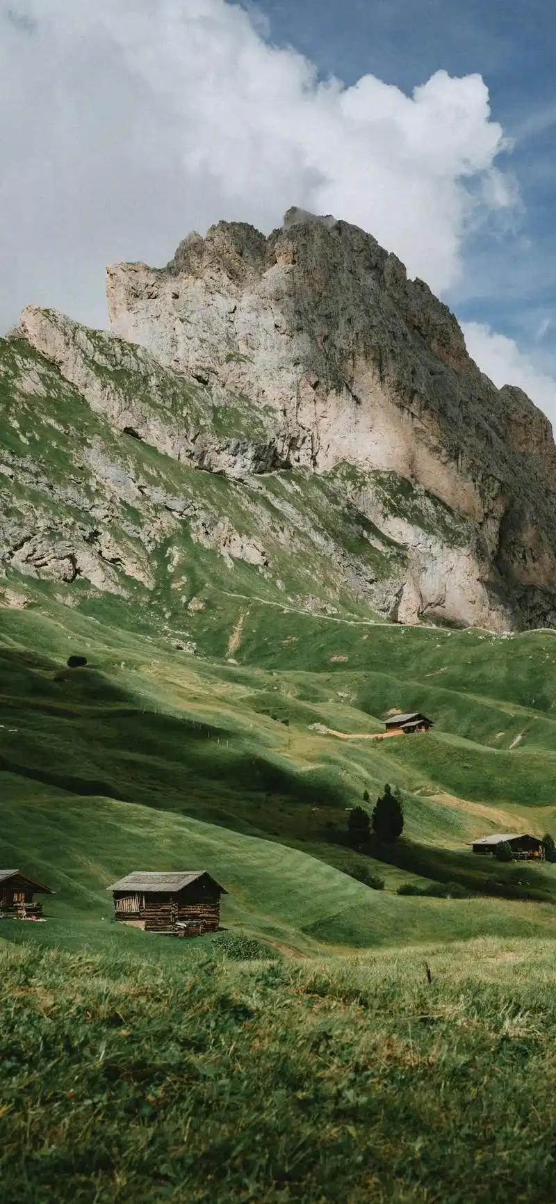 绿色护眼壁纸 #手机壁纸 #风景 - 抖音