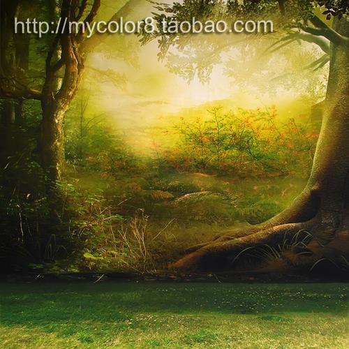 mycolor8 ps 婚纱 影楼摄影背景 主题背景 图片14-585