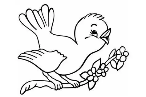 小鸟怎么画简笔画画小鸟的简笔画