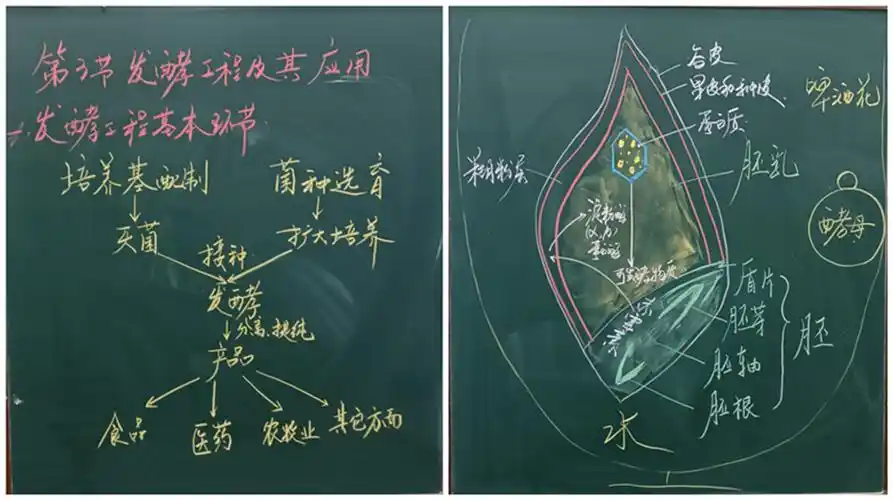 济钢高中生物教研组是一个充满活力,团结向上,积极进取的优秀集体.