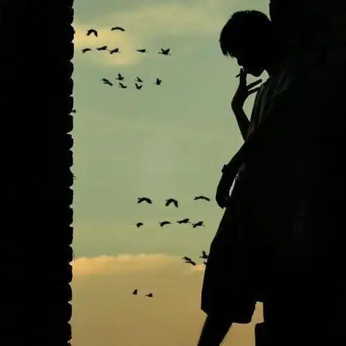 【孤单是一种境界】在线收听_倾听一个人的夜话_荔枝fm