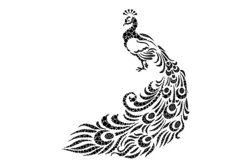 孔雀矢量素材