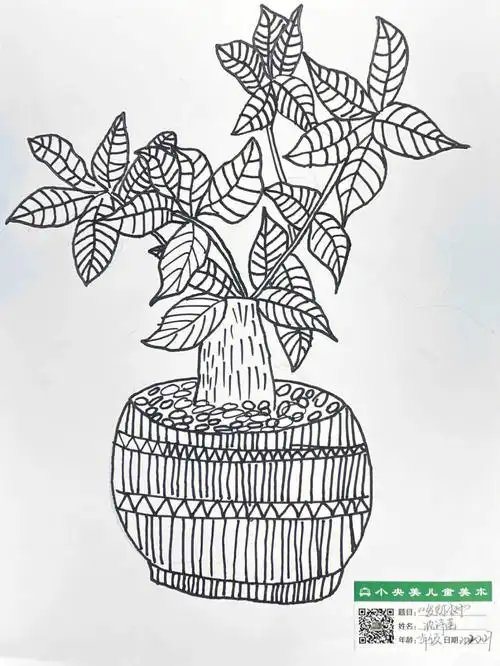 一年级线描写生发财树