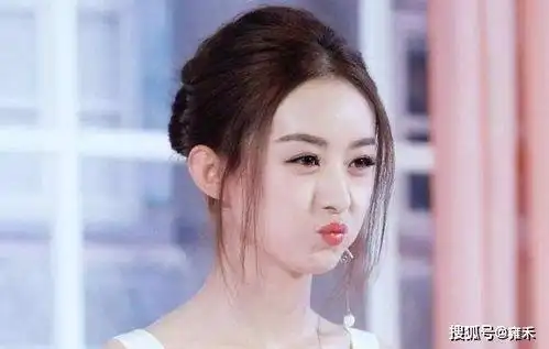 包子脸受宠!赵丽颖是什么脸型