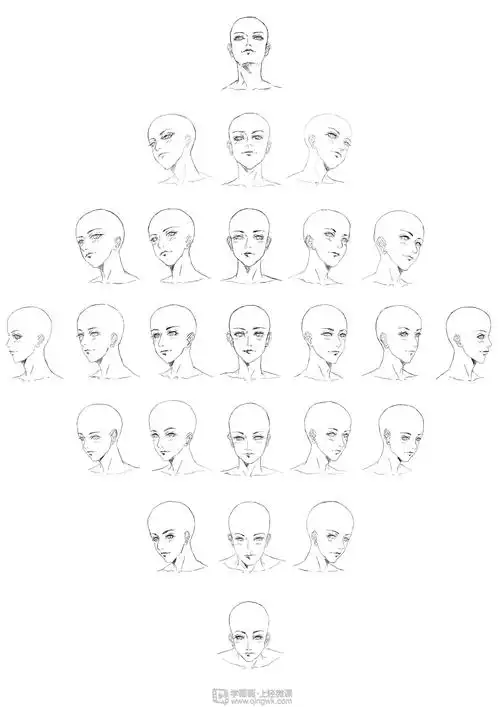 日系厚涂头部结构正侧面角度线稿
